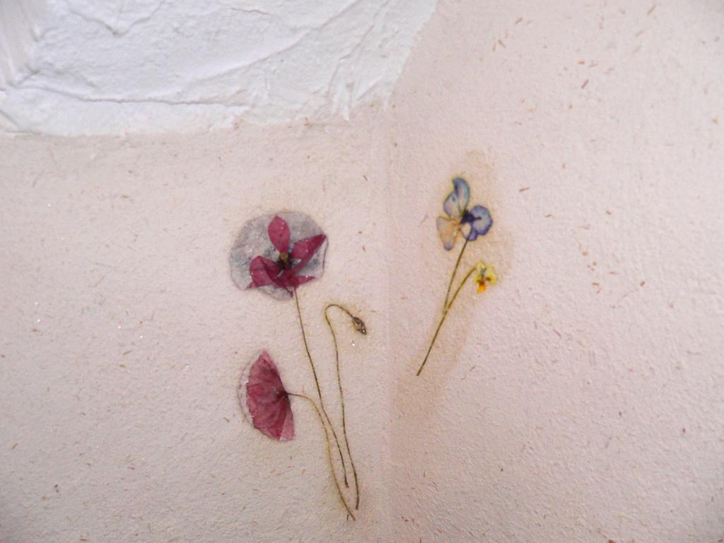 Chambres Et Gite "Pollen" Granier Exterior foto